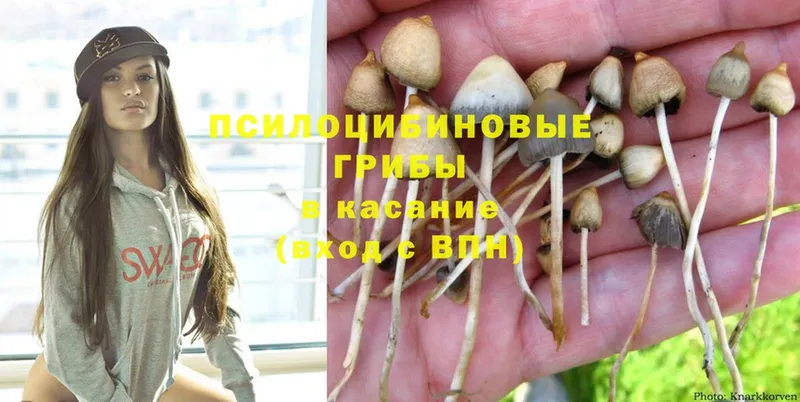 гидра   Партизанск  Галлюциногенные грибы Psilocybine cubensis  где купить наркоту 